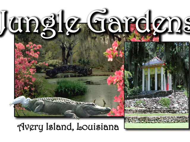 Jungle Gardens Avery Island, Louisiana Photo 2