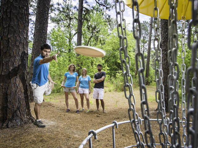 Disc golf is one of the many activities at Sam Houston Jones State Park Photo 2