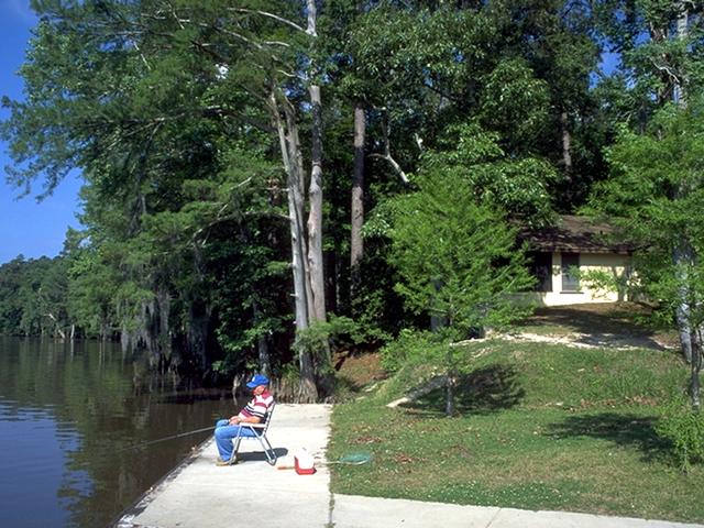 Spend a relaxing afternoon on the banks of the Calcasieu River, at Sam Houston Jones State Park. Photo