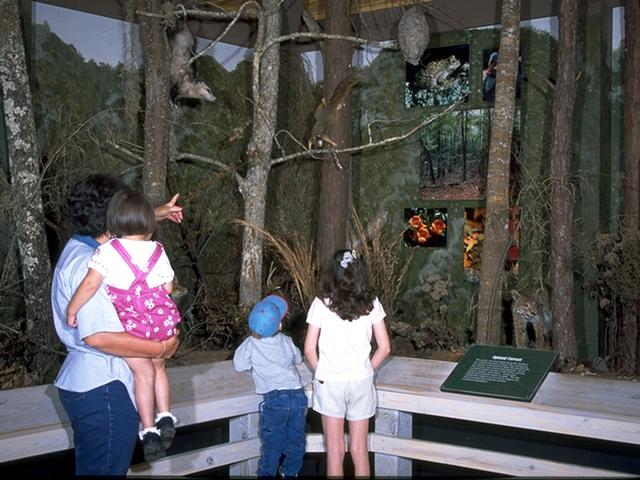 Tickfaw State Park's nature center offers a variety of fun and educational activities. Photo