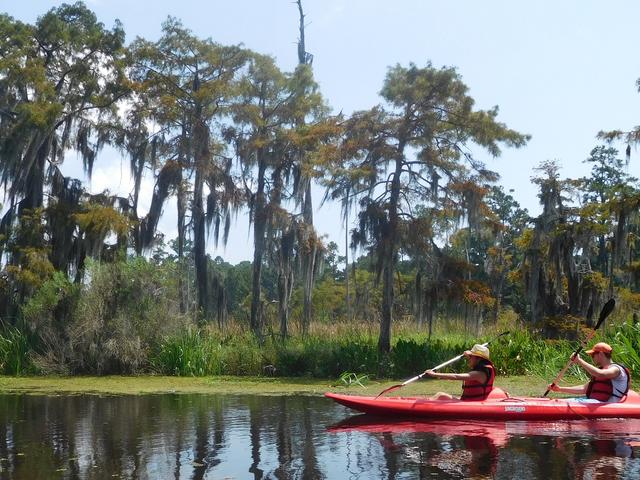Cane Bayou kayak tour in Mandeville, La