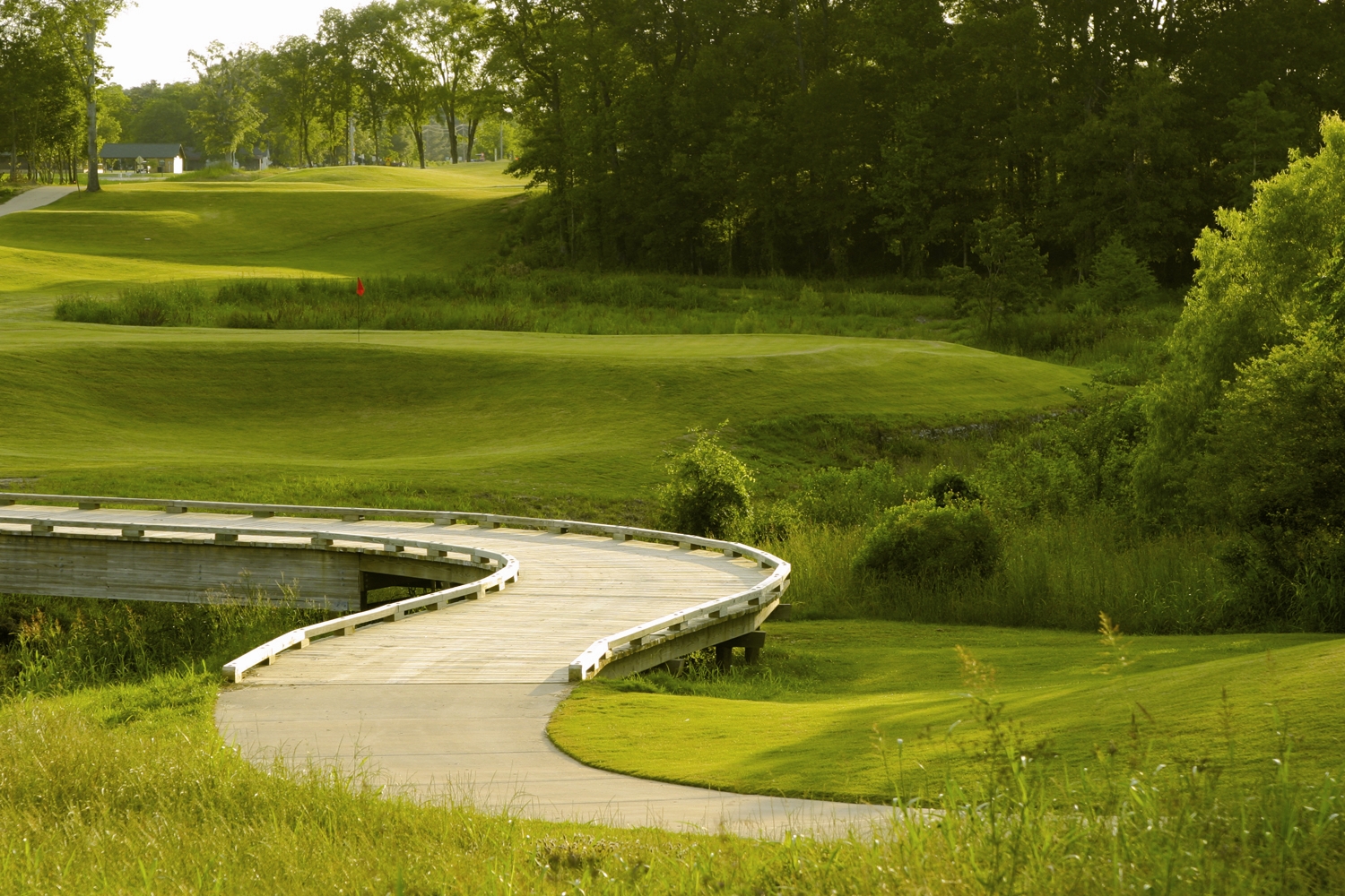 Black Bear Golf Club | Louisiana Travel